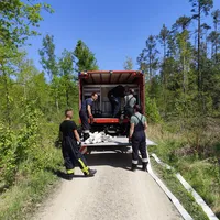 Waldbrand.jpg