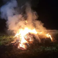 2026_B082_01.jpeg