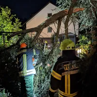 Sturmschaden baum.jpg
