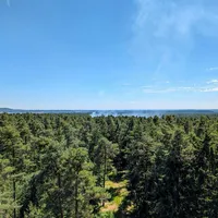 B2025_28_03.jpg