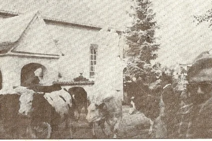 Scannen0008.jpg