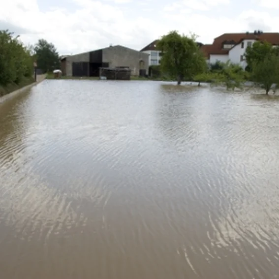 216 stadt sonntag 2.jpg