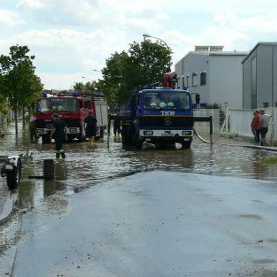 bild6.jpg