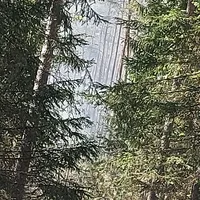 Waldbrand II.jpg